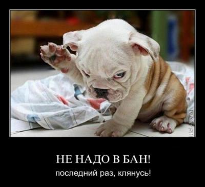 Прикрепленное изображение: 1315900500_016-prikolnye-demotivatory-za-13.09.2011-minimozg.ru.jpg